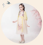 Load image into Gallery viewer, D1230 Chinese Style,Costume,Gift Birthday Dress, Flower Girl Dress
