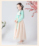 Load image into Gallery viewer, D1234 Chinese Style,Costume,Gift Birthday Dress, Flower Girl Dress
