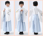 Load image into Gallery viewer, D1188 Chinese Style, Hanfu, For Boy, Costume,   Performance Clothes, Chinese Dress
