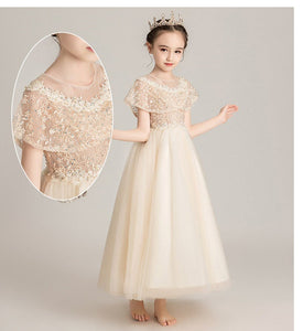 D1070 Girl Dress, Gift Birthday Dress, Flower Girl Dress, Toddler Dress