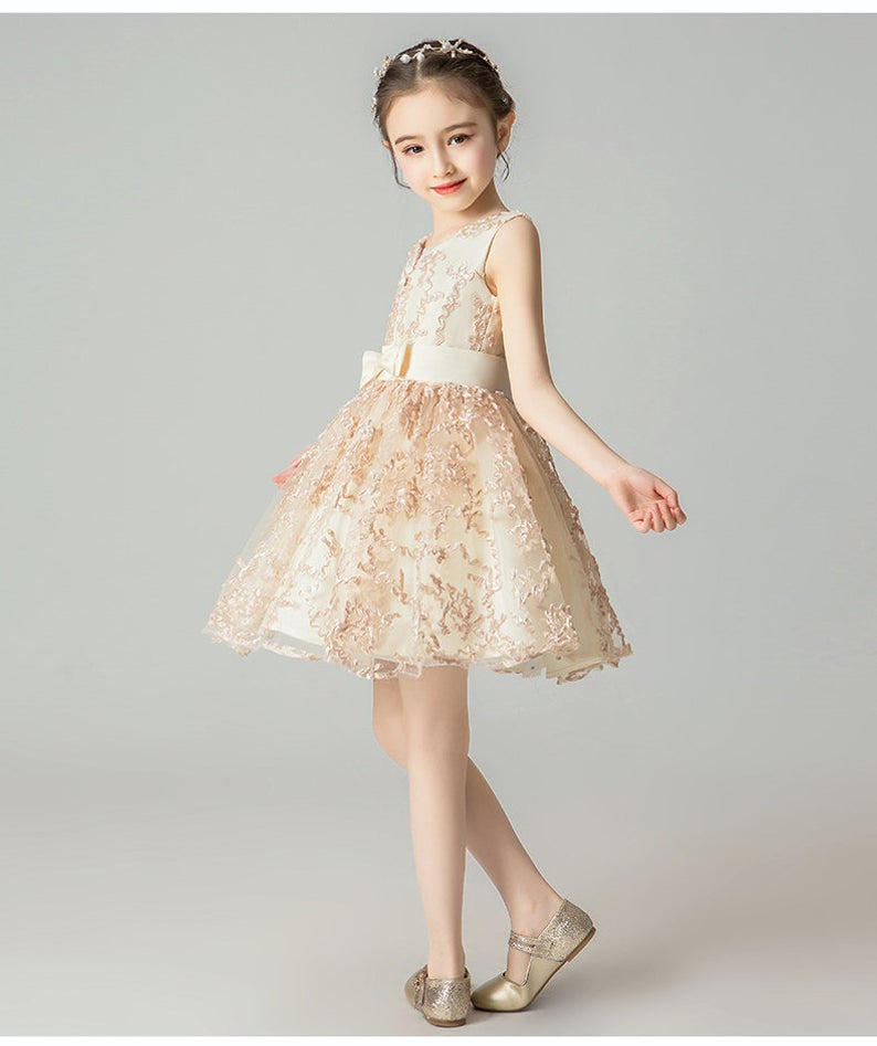D1342 Birthday Dress, Flower Girl Dress, Toddler Dress, Baby Christmas Dress
