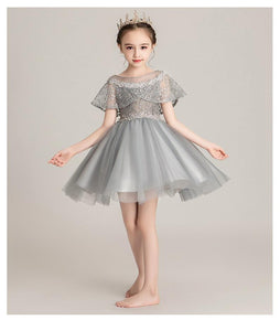 D1099 Girl Dress, Gift Birthday Dress, Flower Girl Dress, Toddler Dress
