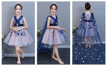 Load image into Gallery viewer, D1111 Girl Dress, Gift Birthday Dress, Flower Girl Dress, Toddler Dress
