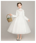 Load image into Gallery viewer, D109 Girl Dress, Gift Birthday Dress, Flower Girl Dress, Toddler Dress
