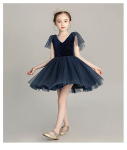 D1095 Girl Dress, Gift Birthday Dress, Flower Girl Dress, Toddler Dress