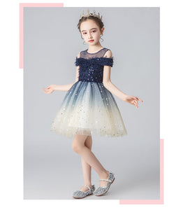 D1024 Girl Dress, Gift Birthday Dress, Flower Girl Dress, Toddler Dress
