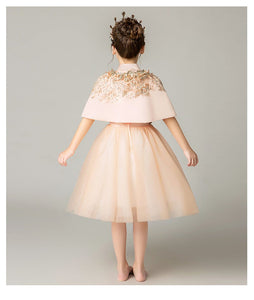 D1040 Girl Dress, Gift Birthday Dress, Flower Girl Dress, Toddler Dress