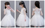 Load image into Gallery viewer, D1171 Girl Dress, Gift Birthday Dress, Flower Girl Dress, Toddler Dress
