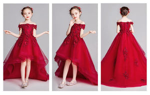 D1100 Girl Dress, Gift Birthday Dress, Flower Girl Dress, Toddler Dress