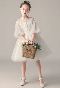 D1035 Girl Dress, Gift Birthday Dress, Flower Girl Dress, Toddler Dress