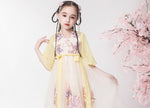 Load image into Gallery viewer, D1230 Chinese Style,Costume,Gift Birthday Dress, Flower Girl Dress
