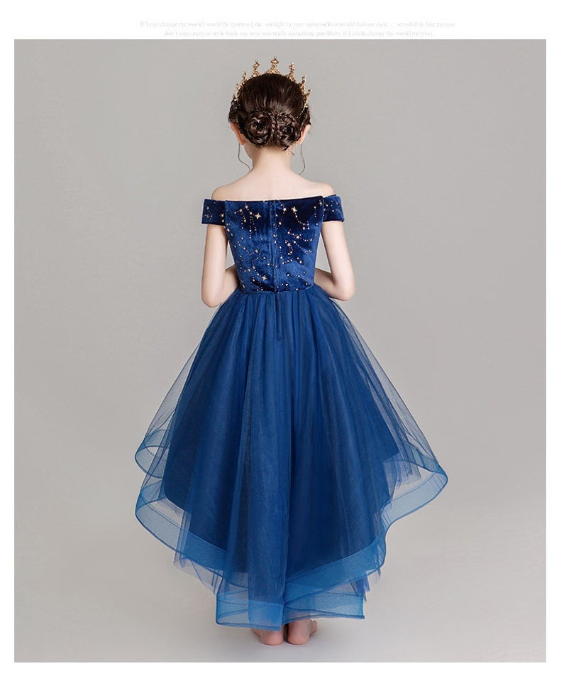 D1053 Girl Dress, Gift Birthday Dress, Flower Girl Dress, Toddler Dress