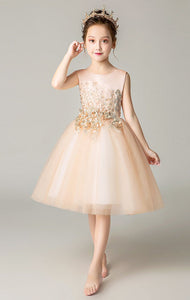 D1040 Girl Dress, Gift Birthday Dress, Flower Girl Dress, Toddler Dress