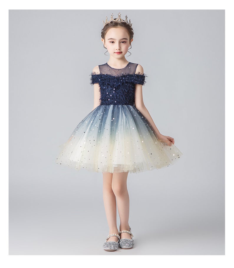 D1024 Girl Dress, Gift Birthday Dress, Flower Girl Dress, Toddler Dress