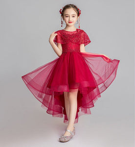 D1037 Girl Dress, Gift Birthday Dress, Flower Girl Dress, Toddler Dress