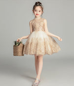 Load image into Gallery viewer, D1329 Birthday Dress, Flower Girl Dress, Toddler Dress, Baby Christmas Dress
