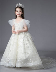 D1016 Gift Birthday Dress, Flower Girl Dress, Toddler Dress, Baby Christmas Dress