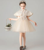 Load image into Gallery viewer, D1354 Birthday Dress, Flower Girl Dress, Toddler Dress, Baby Christmas Dress
