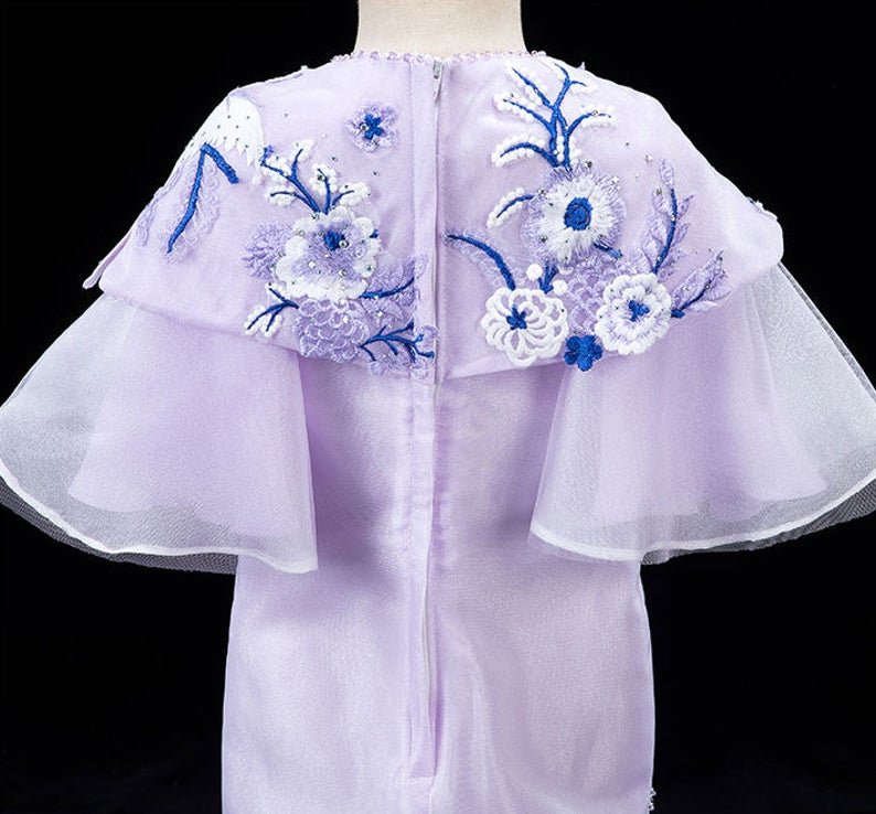 D1005 Gift Birthday Dress, Flower Girl Dress, Toddler Dress, Baby Christmas Dress