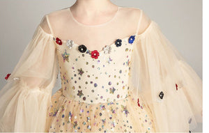 D105  Girl Dress, Gift Birthday Dress, Flower Girl Dress, Toddler Dress