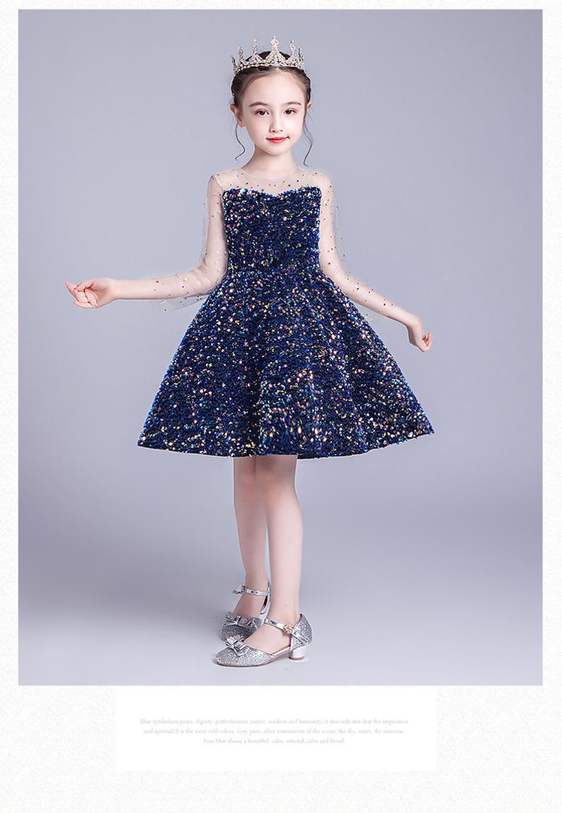 D1219 Girl Dress, Gift Birthday Dress, Flower Girl Dress, Toddler Dress