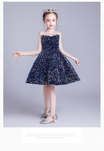 D1219 Girl Dress, Gift Birthday Dress, Flower Girl Dress, Toddler Dress