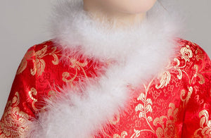 D1117 Chinese Style,Cheongsam,Gift Birthday Dress, Flower Girl Dress