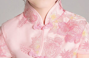 D1120 Chinese Style,Cheongsam,Gift Birthday Dress, Flower Girl Dress