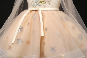 D1212 Girl Dress, Gift Birthday Dress, Flower Girl Dress, Toddler Dress