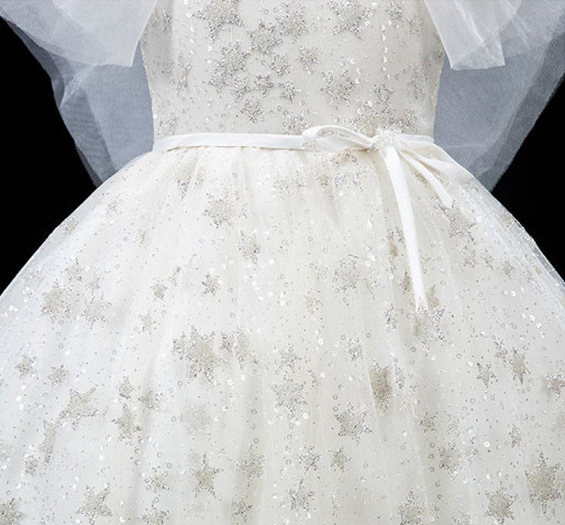 D1016 Gift Birthday Dress, Flower Girl Dress, Toddler Dress, Baby Christmas Dress