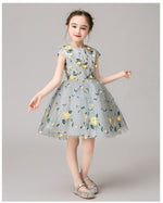 Load image into Gallery viewer, D1253 Birthday Dress, Flower Girl Dress, Toddler Dress, Baby Christmas Dress
