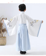Load image into Gallery viewer, D1188 Chinese Style, Hanfu, For Boy, Costume,   Performance Clothes, Chinese Dress
