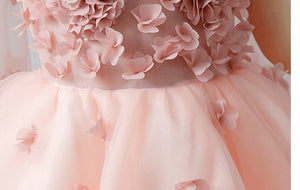 D1061 Girl Dress, Gift Birthday Dress, Flower Girl Dress, Toddler Dress