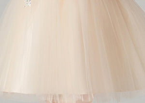 D1354 Birthday Dress, Flower Girl Dress, Toddler Dress, Baby Christmas Dress