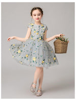 Load image into Gallery viewer, D1253 Birthday Dress, Flower Girl Dress, Toddler Dress, Baby Christmas Dress
